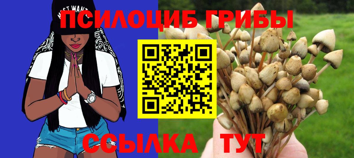 Комсомольск-на-Амуре  Псилоцибиновые грибы Magic Shrooms  Вход с VPN 